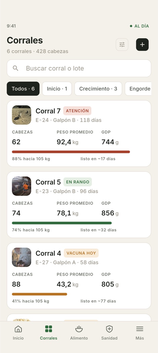 Kamponovo — Corrales