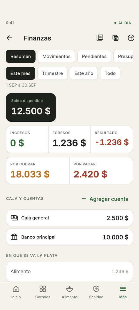 Kamponovo — Finanzas